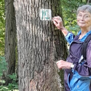 Foto Wegepatin am Lutherweg1521