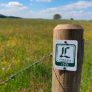 Foto zeigt Pfosten mit befestigter Lutherweg-Plakette