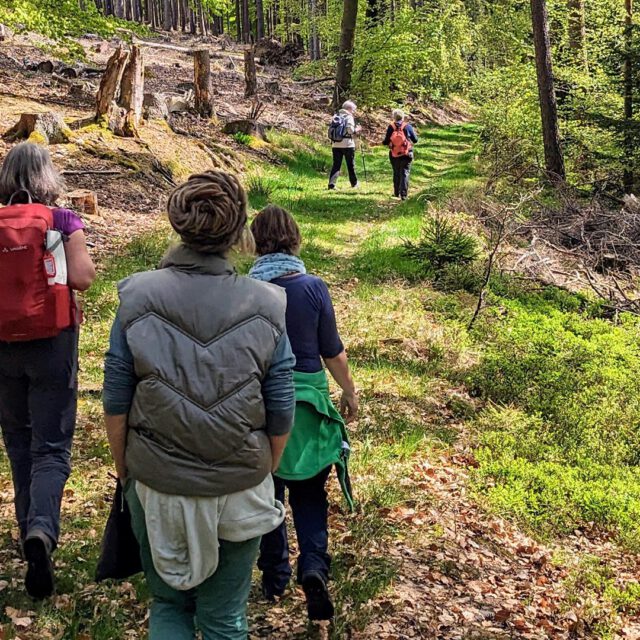 Foto einer Pilgergruppe im Wald