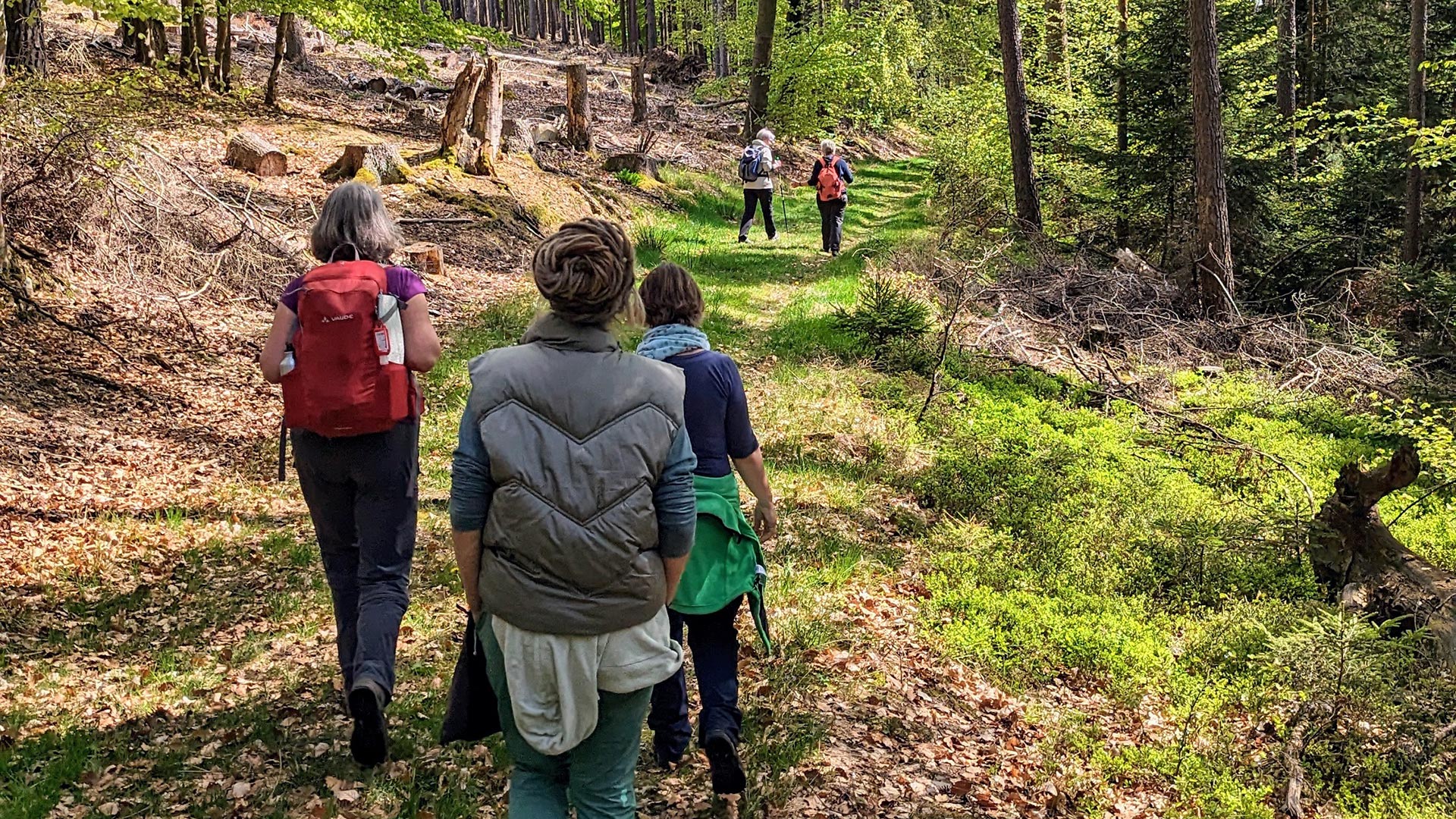 Foto einer Pilgergruppe im Wald