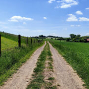 Foto Weg in der Natur