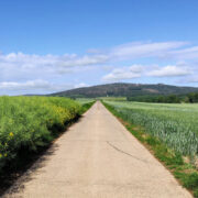 Foto Weg-Strecke Lutherweg